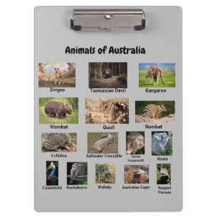 Animals of Australia Clipboard