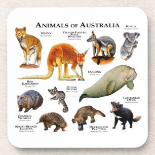 Animals of Australia Coaster