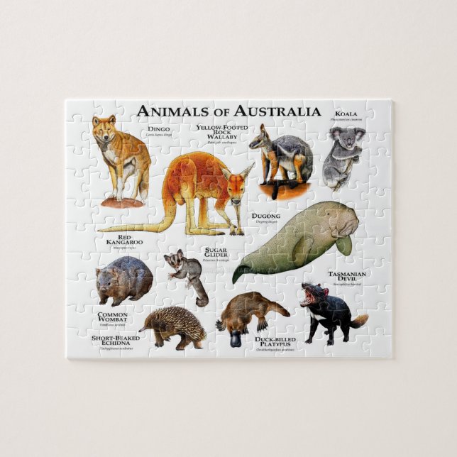 Animals of Australia Jigsaw Puzzle (Horizontal)
