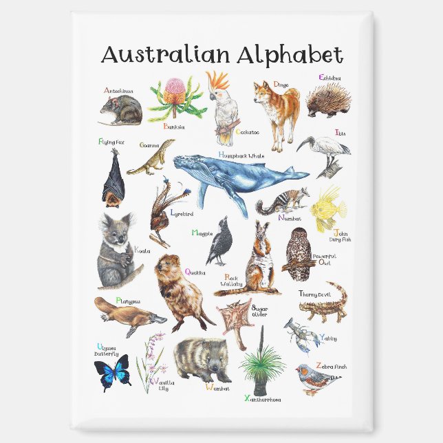 Animals of Australia Magnet (Front)