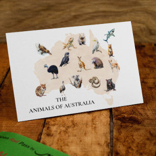 Animals of Australia Postcard
