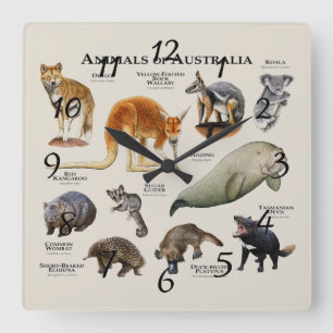 Animals of Australia Square Wall Clock
