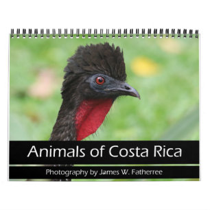 Animals of Costa Rica Calendar