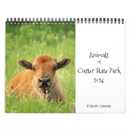 Animals of Custer State Park 2026 Calendar
