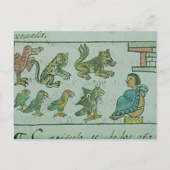 Animals of the Aztec Emperor Postcard (Front)