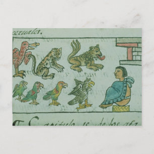 Animals of the Aztec Emperor Postcard