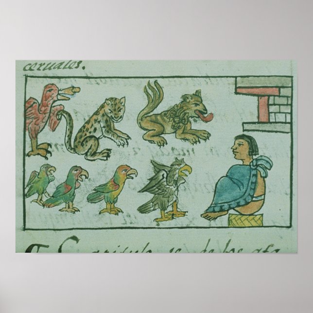Animals of the Aztec Emperor Poster (Front)