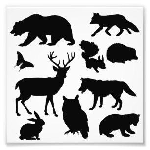 Animals Of The Forest, Wildlife Photo Print