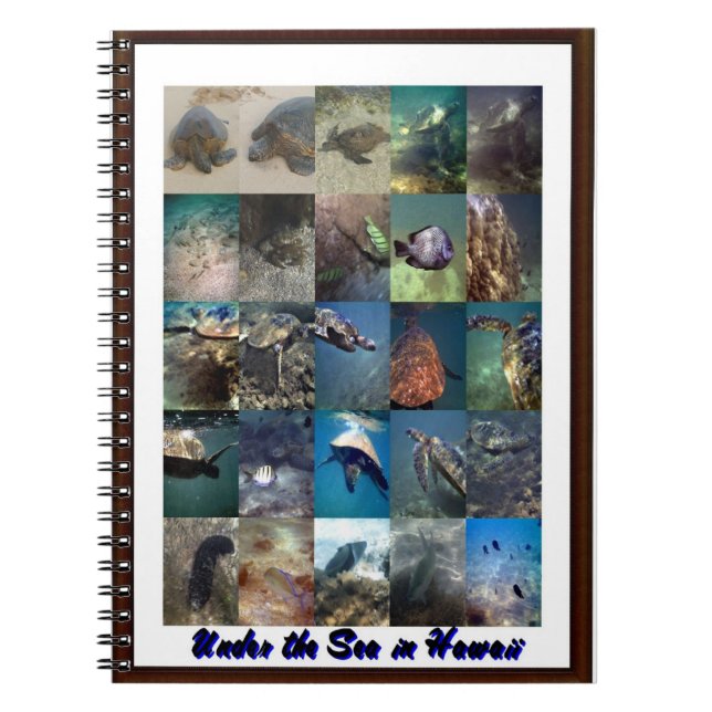 Animals of the sea notebook (Front)