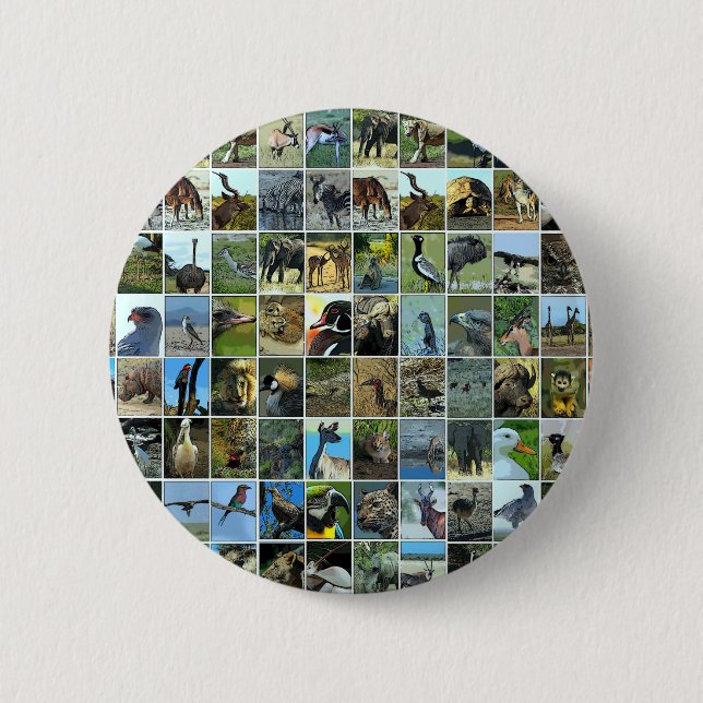Animals of the world 6 cm round badge (Front)