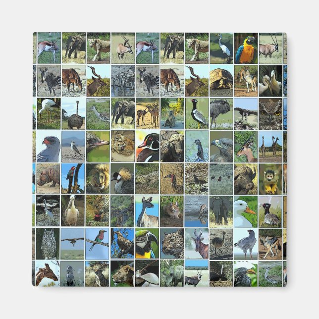Animals of the world magnet (Front)