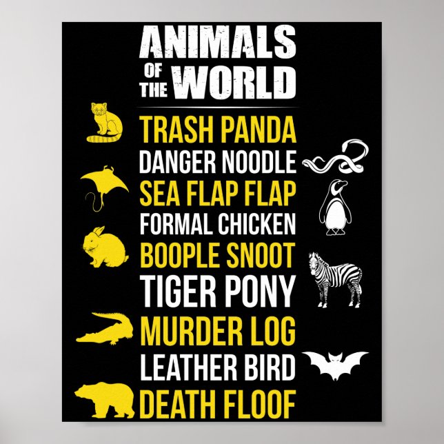 Animals Of The World Trash Panda Danger Noodle Poster (Front)