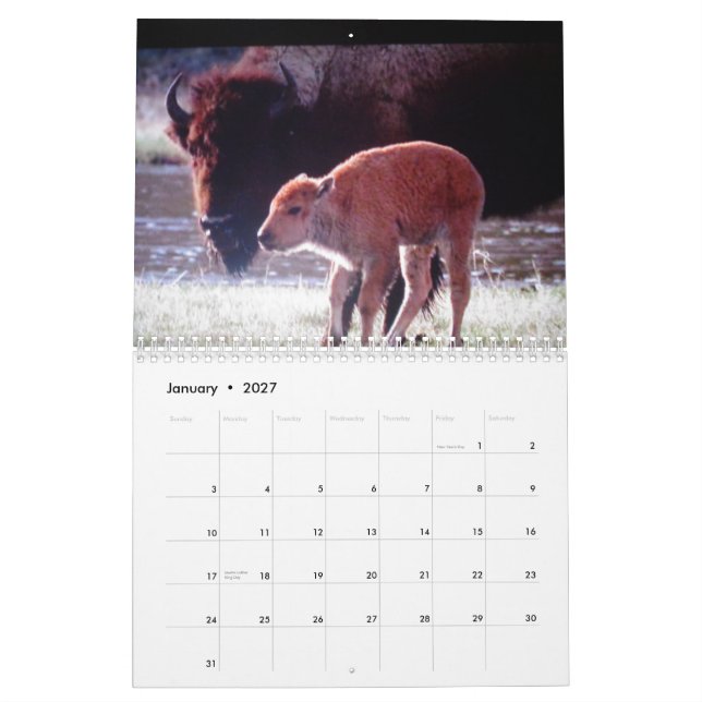 Animals of Yellowstone Custom Printed Calendar (Jan 2027)