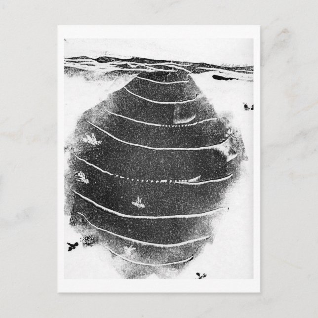 Animals Postcard (Front)