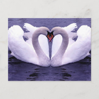 Animals postcards 30