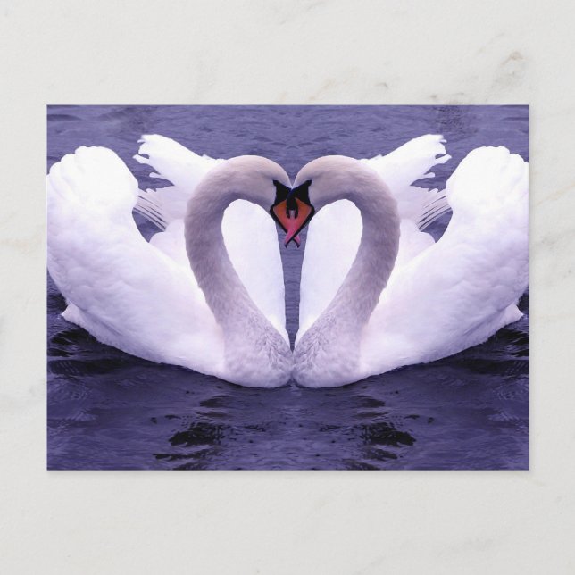 Animals postcards 30 (Front)