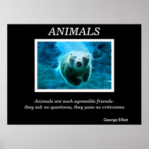 Animals  Posters 32