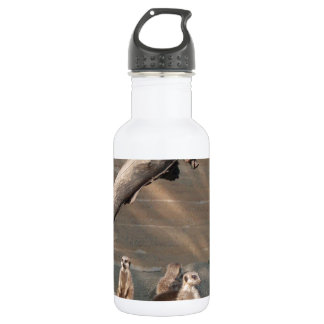 Animals Wild Mammals Meerkat 532 Ml Water Bottle