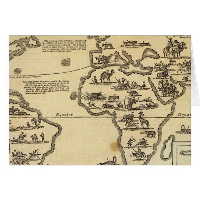 Animals World (Front Horizontal)