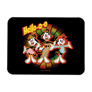 Animaniacs Hello-o-o Retro Equalizer Graphic Magnet