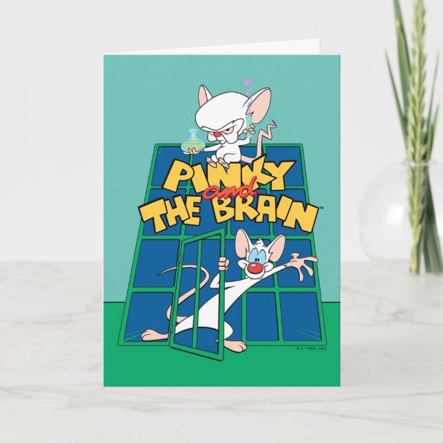 Animaniacs | Pinky and The Brain Cage Graphic Card (Front)