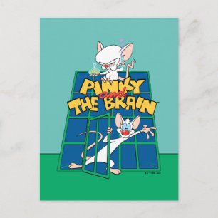 Animaniacs   Pinky and The Brain Cage Graphic Postcard