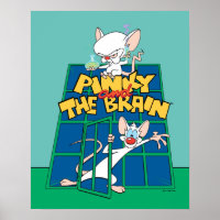 Animaniacs | Pinky and The Brain Cage Graphic