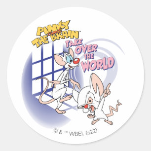 Animaniacs Take Over The World Graphic Classic Round Sticker