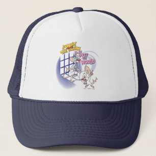 Animaniacs   Take Over The World Graphic Trucker Hat