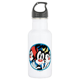 Animaniacs | Warner Siblings Circle Graphic 532 Ml Water Bottle