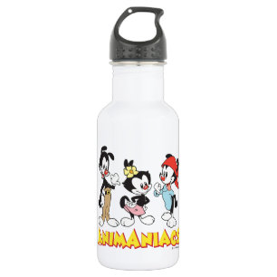 Animaniacs   Yakko, Dot, and Wakko Standing 532 Ml Water Bottle