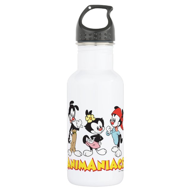 Animaniacs | Yakko, Dot, and Wakko Standing 532 Ml Water Bottle (Front)
