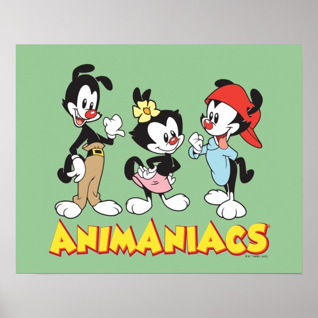 Animaniacs | Yakko, Dot, and Wakko Standing Poster (Front)