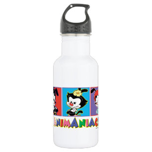 Animaniacs   Yakko, Dot, & Wakko Panel Graphic 532 Ml Water Bottle