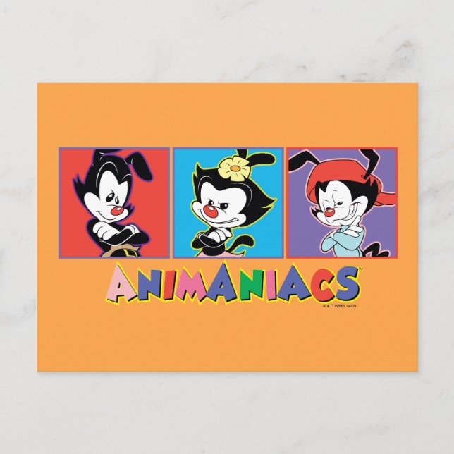 Animaniacs | Yakko, Dot, & Wakko Panel Graphic Postcard (Front)