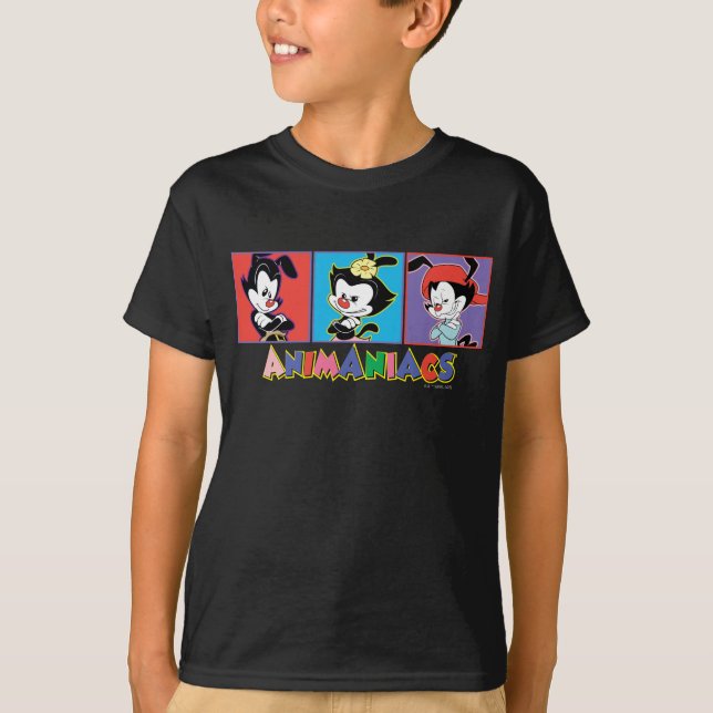 Animaniacs | Yakko, Dot, & Wakko Panel Graphic T-Shirt (Front)