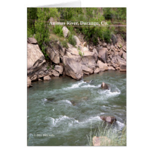 Animas River Rapids