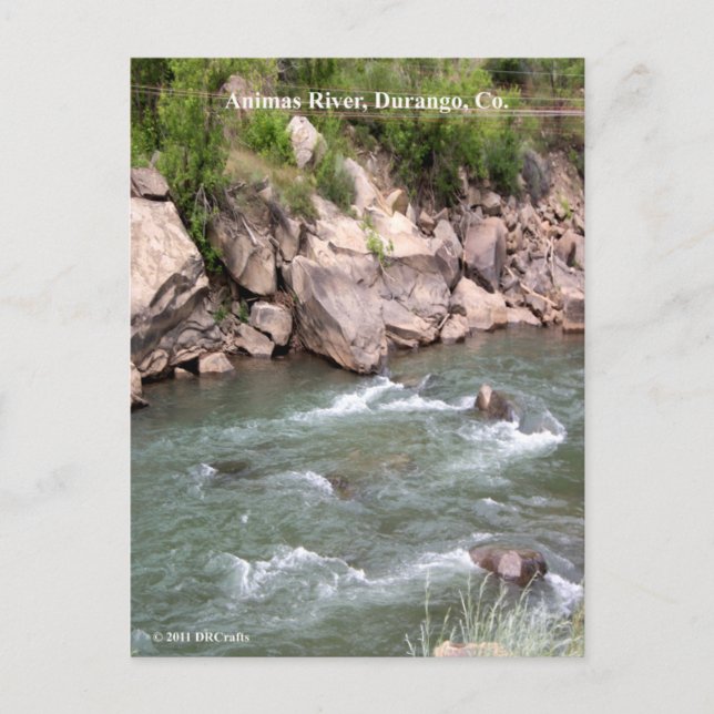Animas River Rapids Postcard (Front)
