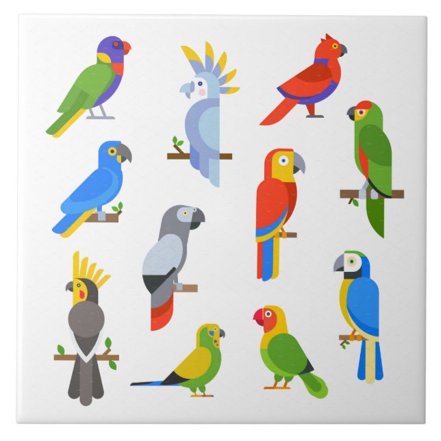 Animated Parrots Background Ceramic Tile (Front)