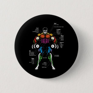 Anime Anatomy Muscle Chart  6 Cm Round Badge
