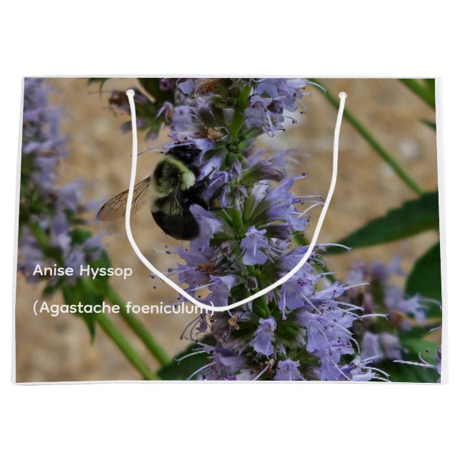  Anise Hyssop  Large Gift Bag (Front)