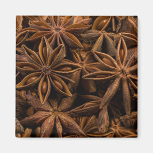 Anise Stars Pattern Magnet