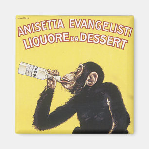 Anisetta Evangelisti Magnet