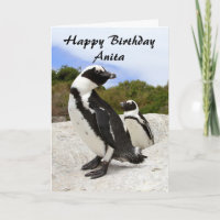 Anita Happy Birthday African Penguins Humor Card