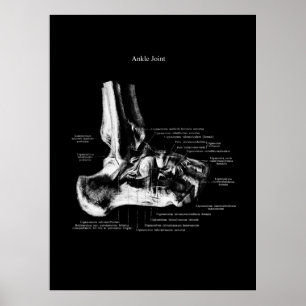 Ankle Anatomy Orthopedic Wall Decor