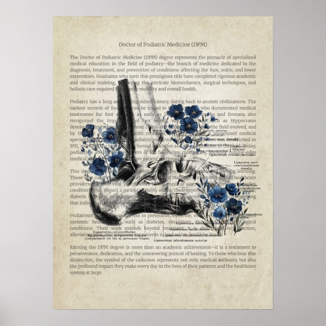 Ankle Anatomy with Blue Floral Accent Poster (Front)