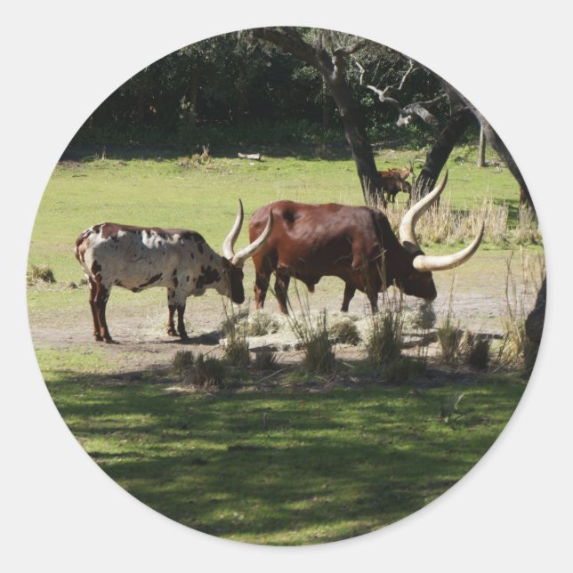 Ankole Cattle Stickers (Front)