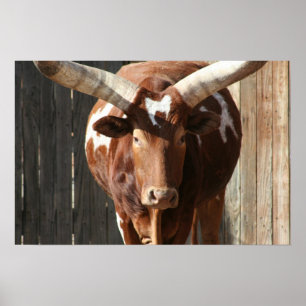 Ankole-Watusi Cattle Poster