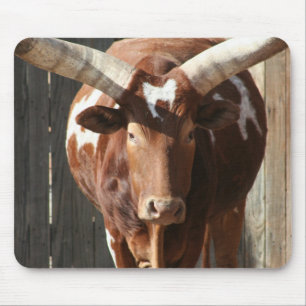 Ankole-Watusi Steer With Huge Horns Mousepad