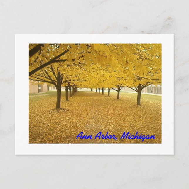 Ann Arbor in Fall Postcard (Front)